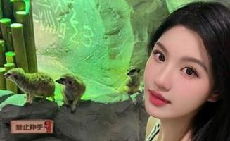 一不小心开了51cg官网网址的传送门，结果被疯狂的瓜吸引了！