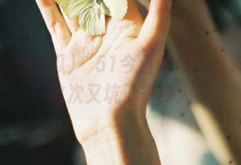 “51今日吃瓜”爆料链接，这次又坑了多少人？