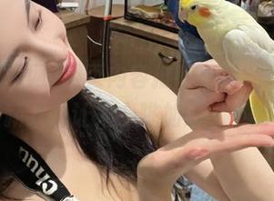 网页内容推陈出新，51吃瓜网最新八卦让人心跳加速，不能停！