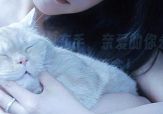91icg在手，亲爱的你永不迷路，八卦随时待命！