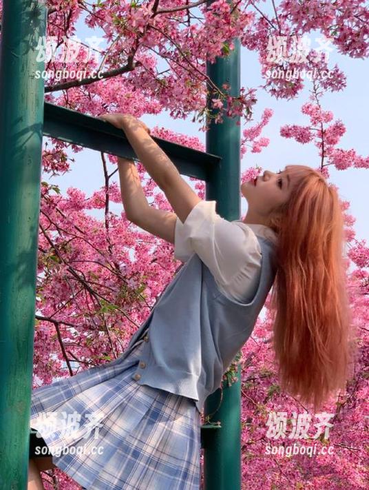 吃瓜君 吃瓜君,首页怎么又被这些八卦刷屏了!