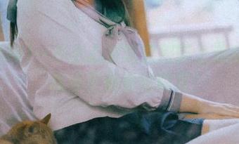 一不小心被吃瓜网带上速度列车，视频更新快得眼花！