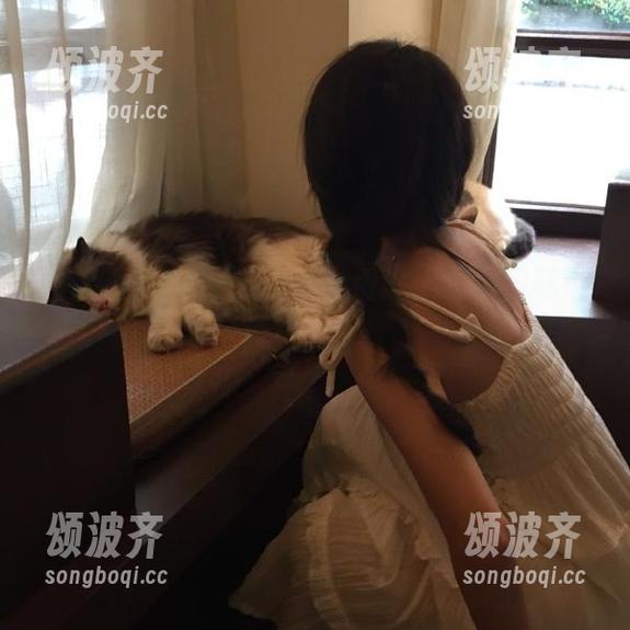 网曝黑料 网曝黑料免费进化了,口味酸甜咸俱全!
