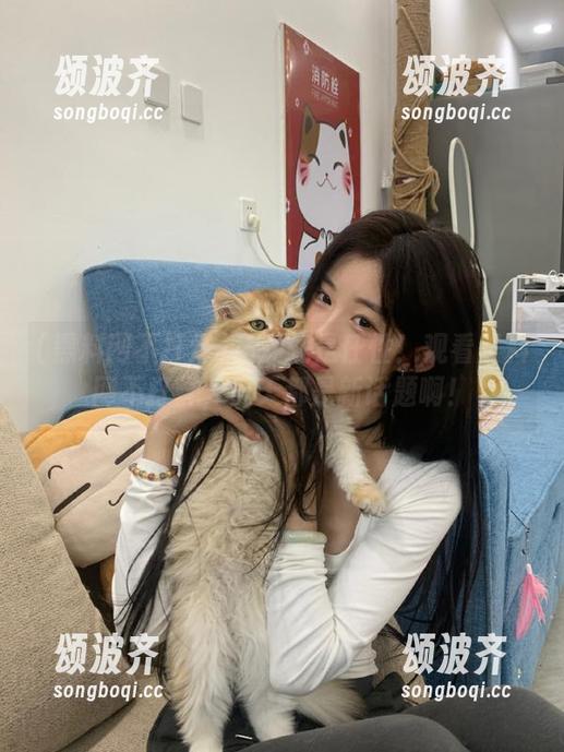黑料网不打烊 免费就是任性!观看黑料网不打烊,天天都是新话题啊!