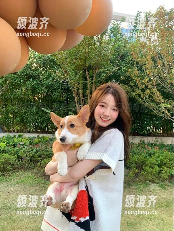 观看黑瓜吃料，感受神奇的网络恋爱观